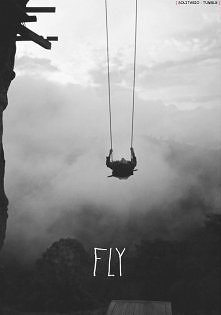 fly.