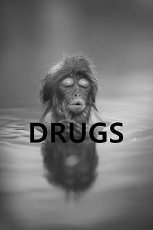 Monkey/Drugs