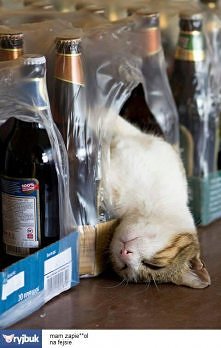 Chyba za dużo % :-)