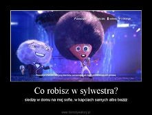 mam piloto mam laptoooooooopo:D