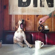 Coffee, please!