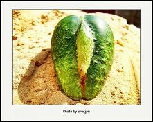 Przyroda ma coś w sobie..