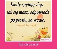 A mówią, że Kubuś Puchatek to miś o „bardzo małym rozumku”. Wcale niee!!;)