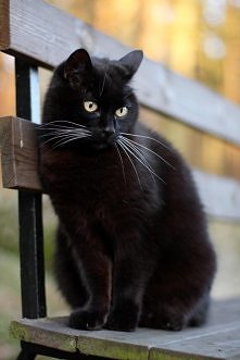 kkk
