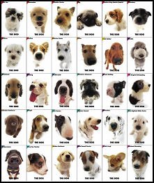 mam nadzieje że lubicie  ps...