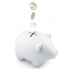 Świnka skarbonka :)