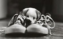 słodkie maleństwo :)