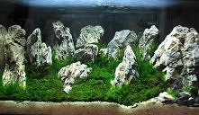 akwarium artystyczne :)