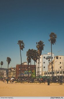 niebo piasek palmy