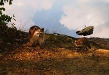 Surrealistyczne_ujecia 4