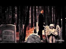 ►The Vampire Diaries | Everyone Has An Angel