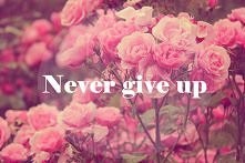 never.