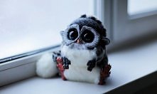 Matko, jakie to urocze *_*