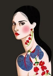 do Illustratora