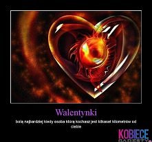 Walentynki