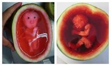 Niezłe! Arbuzowe bobo! Czyli dzieci nie są  z kapusty tylko z arbuza!