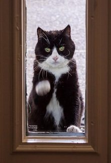 Puk  puk  ,otworzy  mi  ,  ktoś  drzwi , zimno  mi .