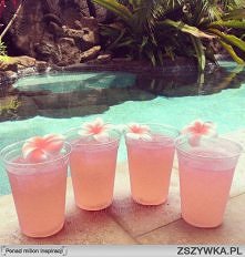 Mniam, jeszcze tylko czekam...