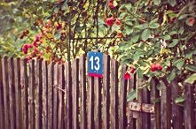 sylviaPHOTO <- facebook