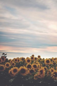 xyz