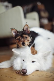 :))
