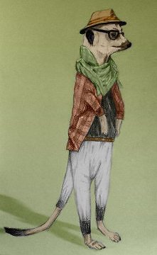 Bo surykatki mają pełne pra...