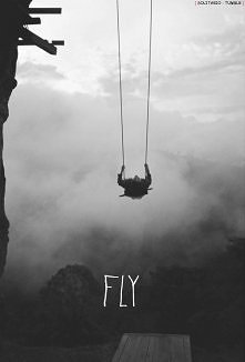 FLY