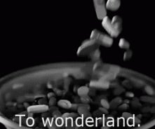To wonderland