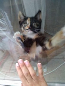 nieee bo to 6 pietro : P