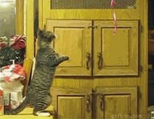 i poooooleciał...  :)