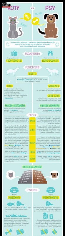 psy i koty
