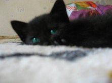 oczka *.*