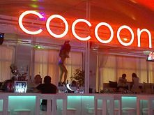 więcej na  lansbraciee.blog...