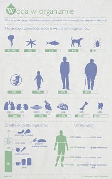 Woda, woda, woda - 30 powodów dla których warto pić wodę