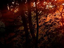 Życie nie jest lepsze ani g...