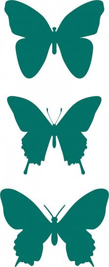 turkus małe motylki