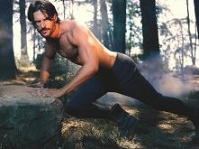 alcide