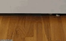 nawet z bolącą nóżką daje sobie radę :)