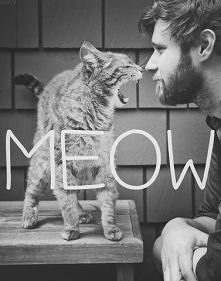 meow