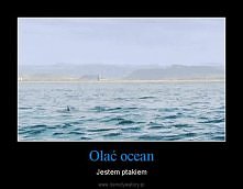 wszyscy olewamy system, naw...