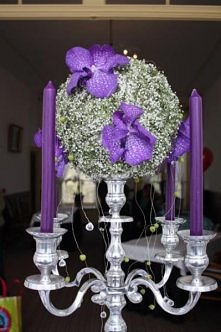 storczyk Wanda i gipsówka