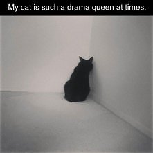 drama queen