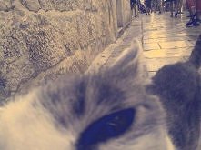 kiti;D