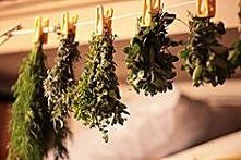 tak susze moje zbiory