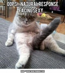 funny