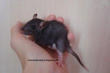 Lilunia moja kochana!