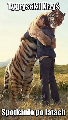 Miś puchatek ... kto oglądał  ;D