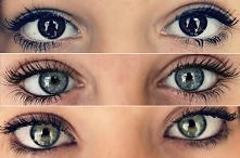 Które najładniejsze ?<3