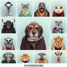 It has been said that a pretty face is a passport. - Julie Burchill. Which passport photo do you like?