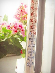 Pomysł na parapet w kuchni ^^